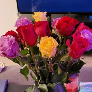 Meet your Posher, Katelyn